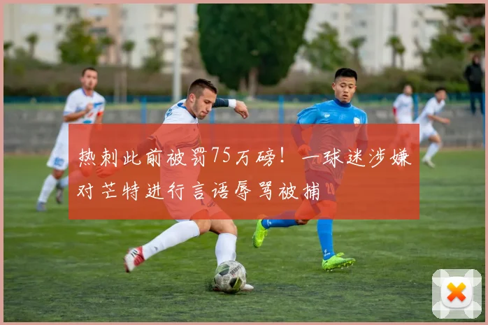 热刺此前被罚75万磅！一球迷涉嫌对芒特进行言语辱骂被捕